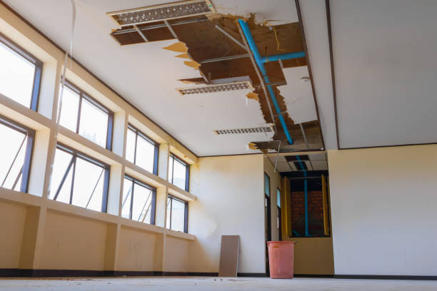 Best Sewage cleanup and water damage restoration  in Pegram, TN