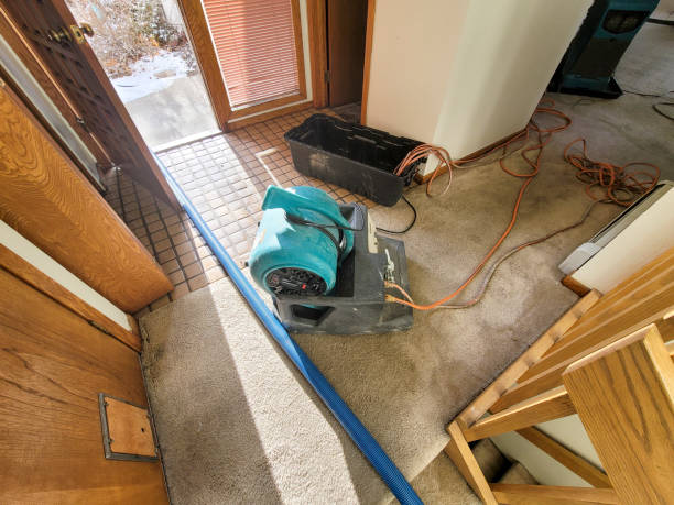 Best Flood damage cleanup  in Pegram, TN