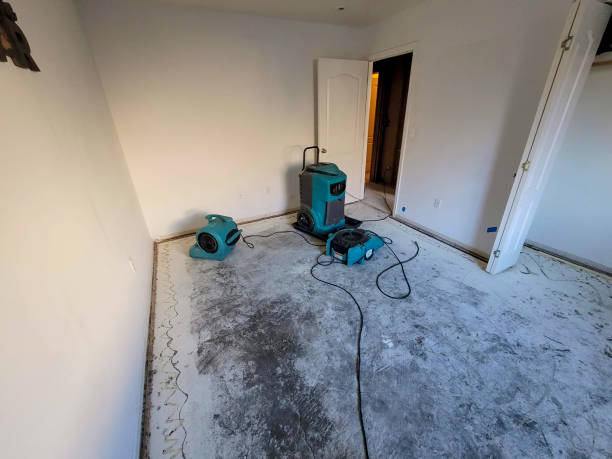 Best 24-hour water damage restoration  in Pegram, TN