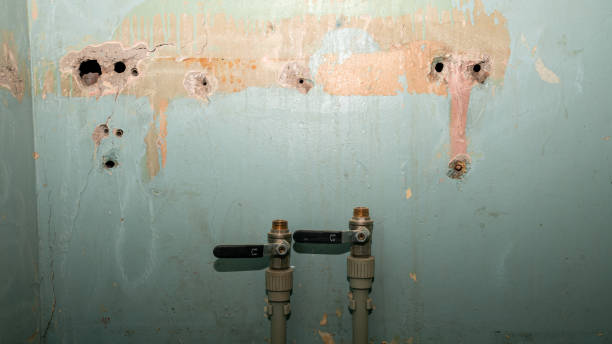 Best 24/7 water damage repair  in Pegram, TN