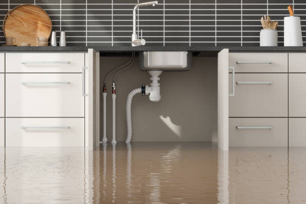 Best Water damage contractors near me  in Pegram, TN