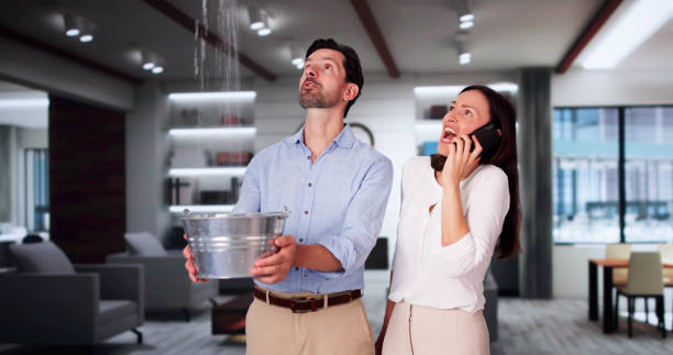 Best Fire Damage Restoration  in Pegram, TN